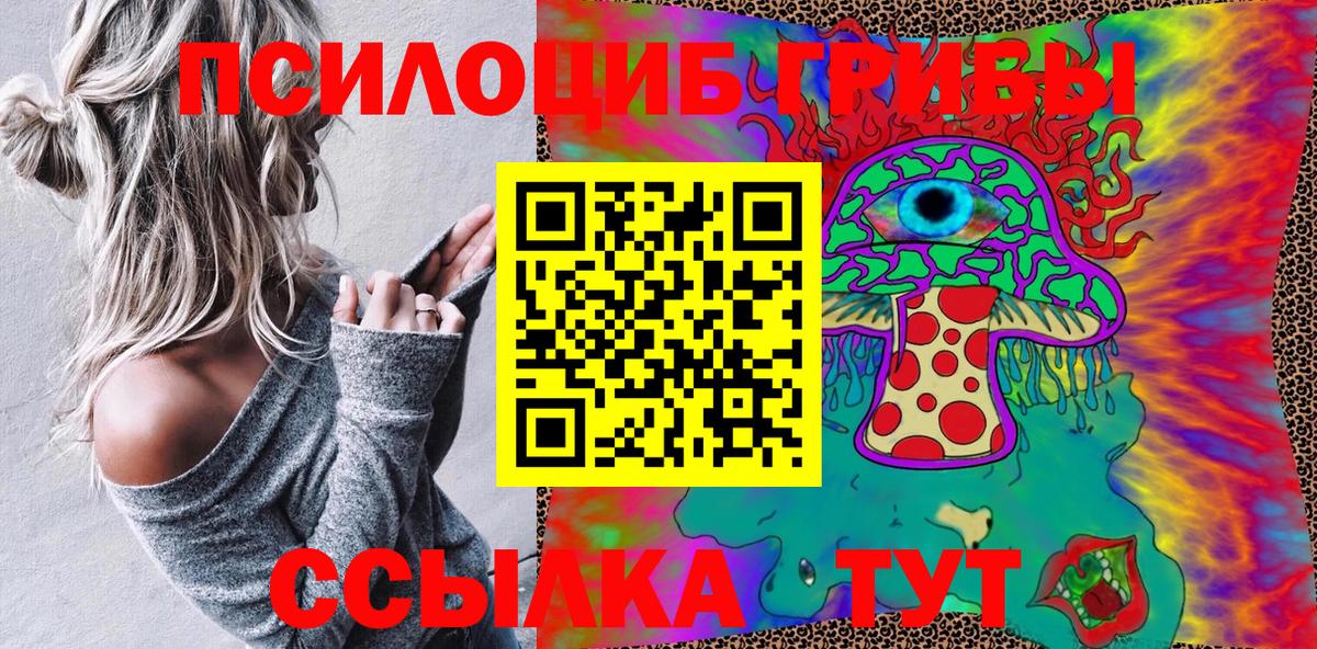 Россошь  Псилоцибиновые грибы MAGIC MUSHROOMS  Вход с VPN 
